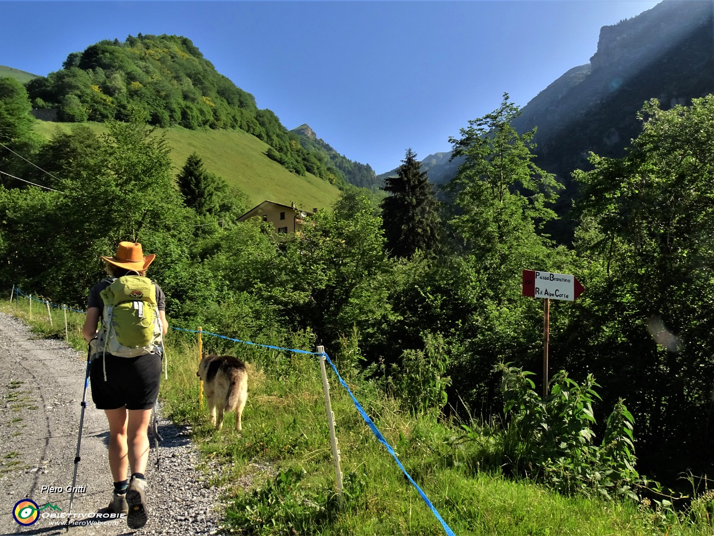 09 Breve tratto su stradetta, a dx sentiero 231 per Passo di Val Vedra che faremo al ritorno.JPG